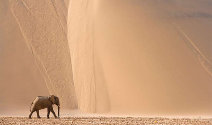 Thorsten Milse ช่างภาพสัตว์ป่า และธรรมชาติ