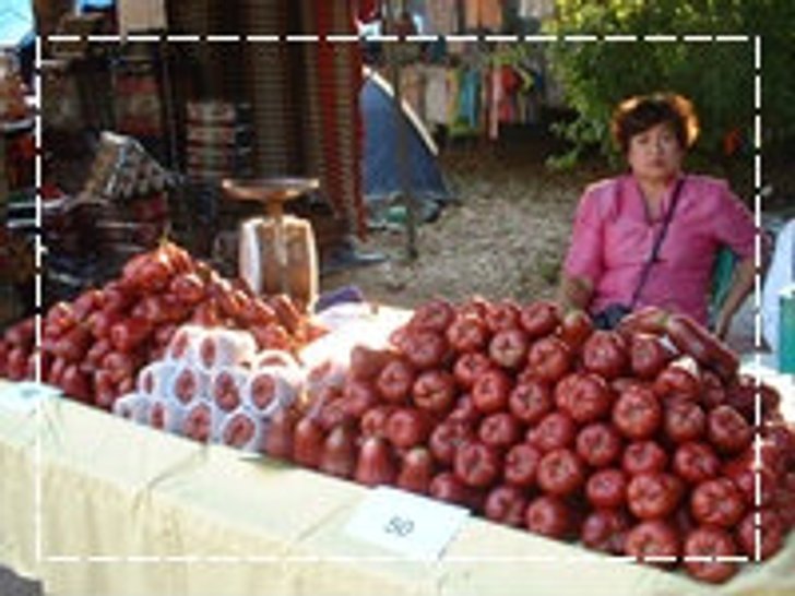 งานชมพู่หวาน และของดีคลองหาด