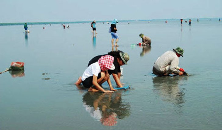 หวานๆ เค็มๆ แบบคนเมืองเพชร