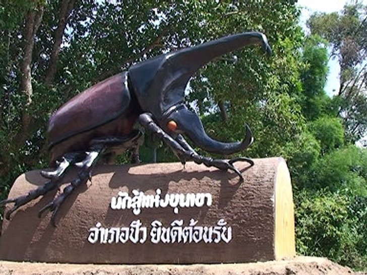 เทศกาลโลกของกว่าง นักสู้แห่งขุนเขา ประจำปี 2554