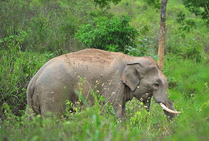 ทริปตะลุย" “กุยบุรี…แดนซาฟารีเมืองไทย