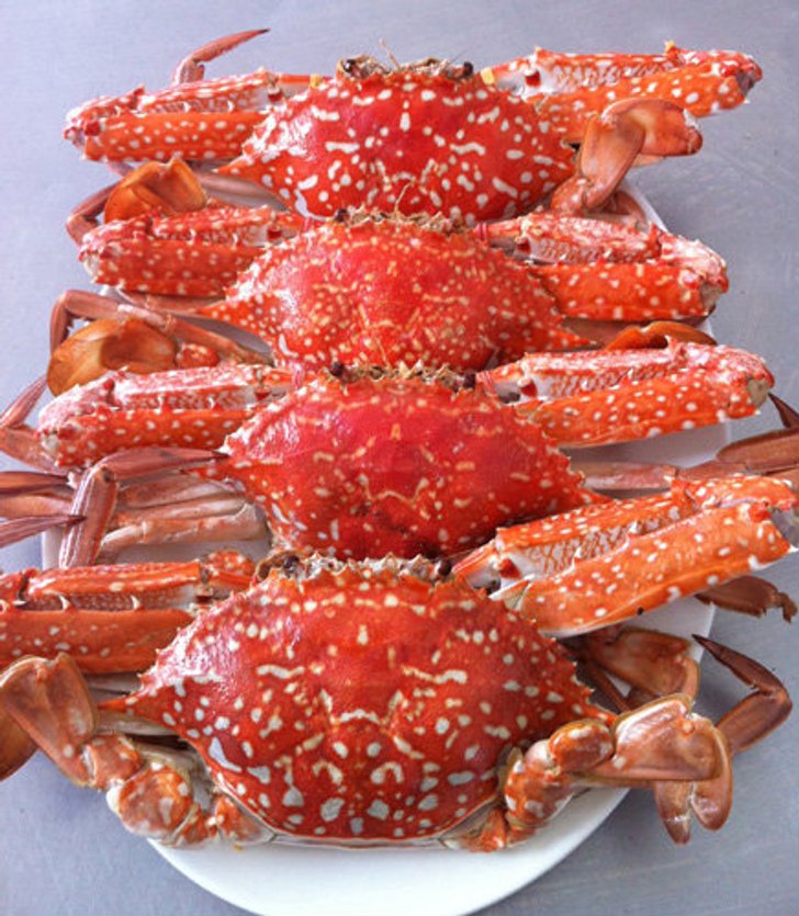 หนึ่งปูม้า-ทะเลเผา