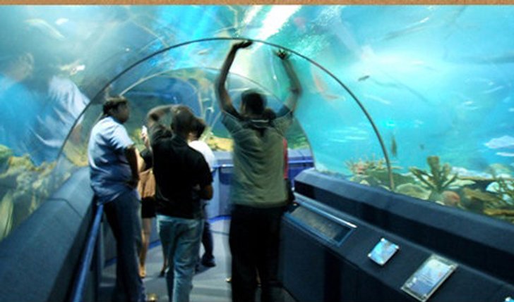 อันเดอร์วอเตอร์ เวิลด์ พัทยา Underwater World Pattaya
