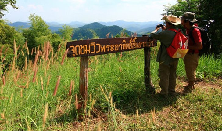 เที่ยวพุเตย เชยชมสนสองใบหนึ่งเดียวในภาคกลาง