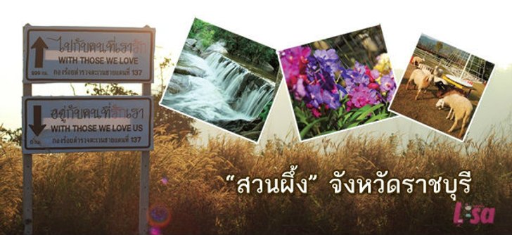 นอนนับดาวที่ “สวนผึ้ง” ราชบุรี