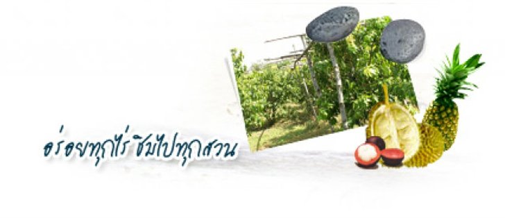 ททท. ชวนเที่ยว “อร่อยทุกไร่ ชิมไปทุกสวน"