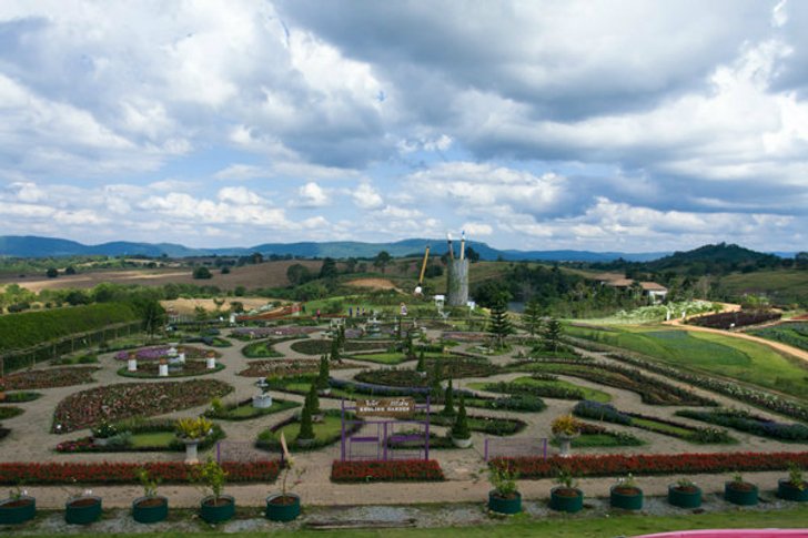 เที่ยวเขาใหญ่-วังน้ำเขียว เส้นทางรับลมหนาวใกล้กรุง ไม่ควรพลาด