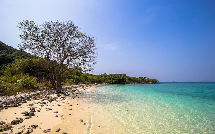 อุทยานใต้ทะเล "เกาะขาม" สัตหีบ KOHKHAM