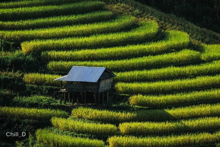7 ที่เที่ยวหน้าฝน ในเมืองไทย ไปเที่ยวแล้วฟินมากๆ