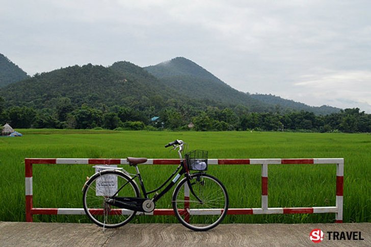 ขี่จักรยาน..หน้าฝน..กลางทุ่งนา หลงเสน่ห์ "เมืองปาย" แบบไม่รู้ตัว