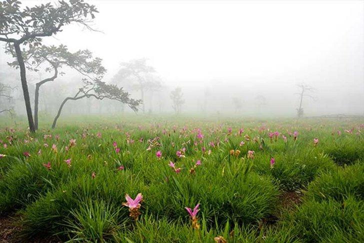 7 สิ่งมหัศจรรย์..ความงดงามแห่งภาคอีสาน