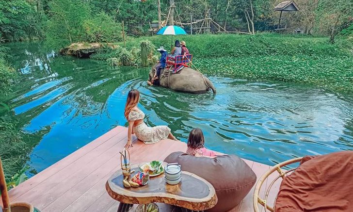 มองช้างคาเฟ่ คาเฟ่ช้างหนึ่งเดียวในเมืองไทย มิติใหม่แห่งวงการคาเฟ่