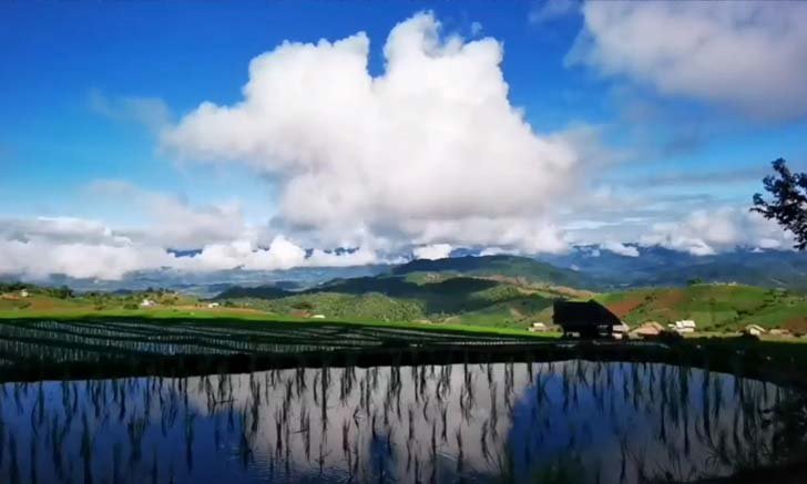 นาขั้นบันไดป่าบงเปียง อวดความสวยงามที่สุดในรอบปี