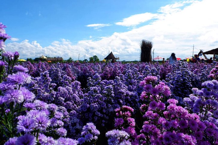สวนป้านกเอี้ยง เชียงใหม่