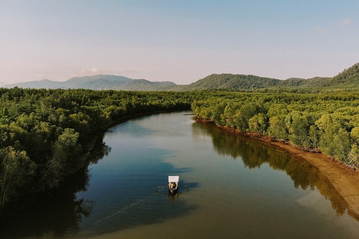 mangrovekohlanta