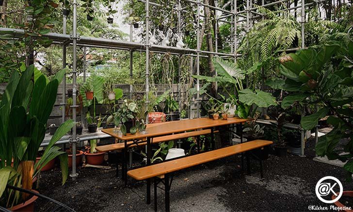 Plant Me On The Moon คาเฟ่ต้นไม้ในซอยลาดพร้าว 93