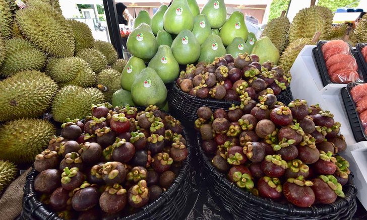 Siam Paragon Tropical Fruit Parade 7-15 พ.ค. พาเหรดผลไม้ไทยแบบจัดเต็มห้ามพลาด