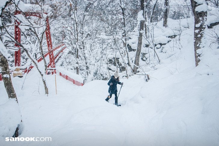 line_album_231265_230113_86