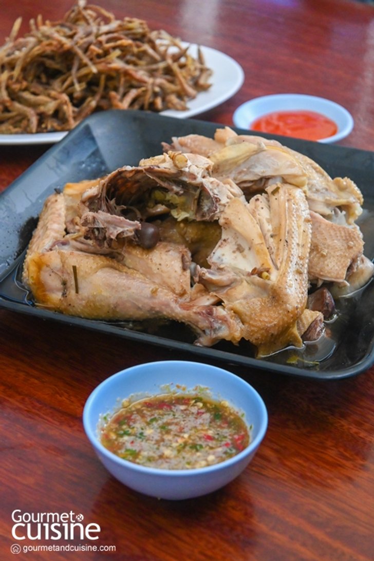 _editor20230126031010_origina