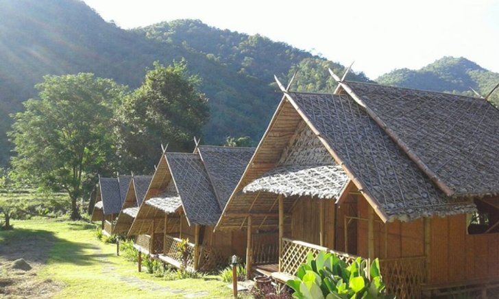 ฟาร์มสเตย์เชียงใหม่ @ ‘ภูไผ่งามรีสอร์ท’