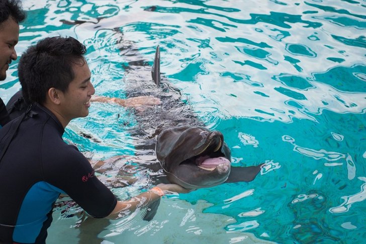 Dolphin Island มาเที่ยวเกาะนี้ ได้เพื่อนใหม่เป็น..โลมา