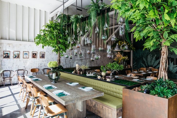 หนีความวุ่นวายมาทานข้าวในร้านสวยสุดร่มรื่นที่ร้าน GISMO