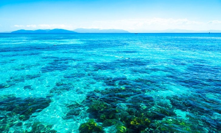 แนวปะการังยักษ์ Great Barrier Reef รอดแล้ว ยูเนสโก้ประกาศถอนจากกลุ่มสถานที่ที่ตกอยู่ในอันตราย!!