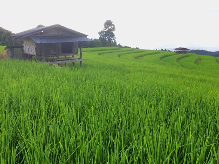 muengjam2