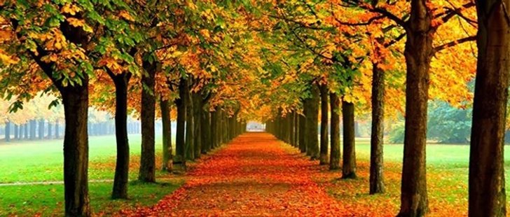 2.-namiseom-island-696x296