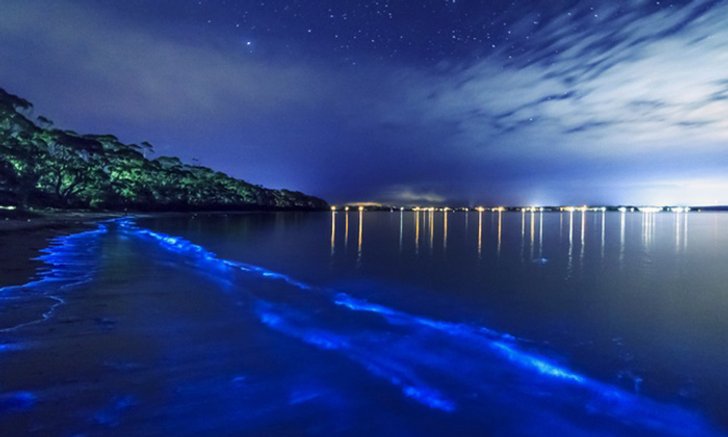 10 ชายหาดที่ขึ้นชื่อว่า "แปลกที่สุด" จากทั่วทุกมุมโลก