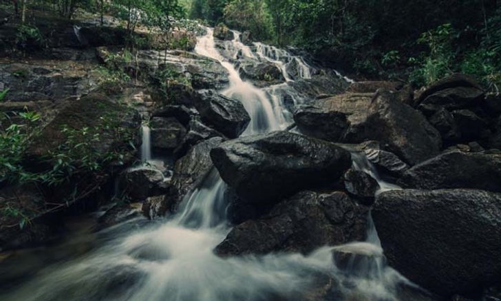 EVERGREEN RANONG จากป่าต้นน้ำสู่ท้องทะเล