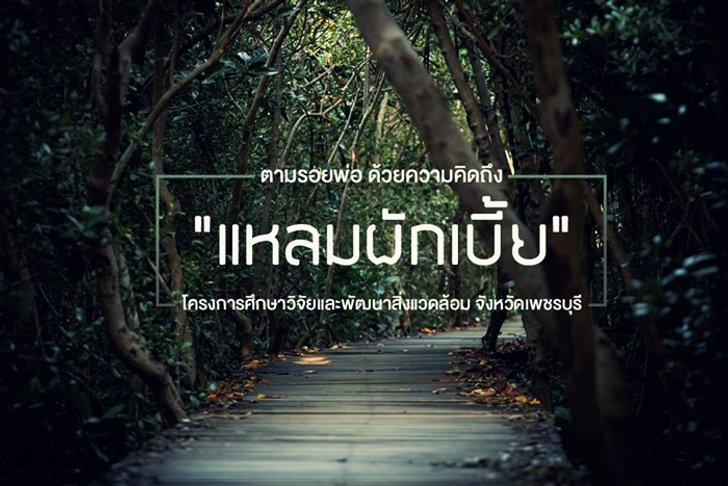 โครงการหลวง แหลมผักเบี้ย