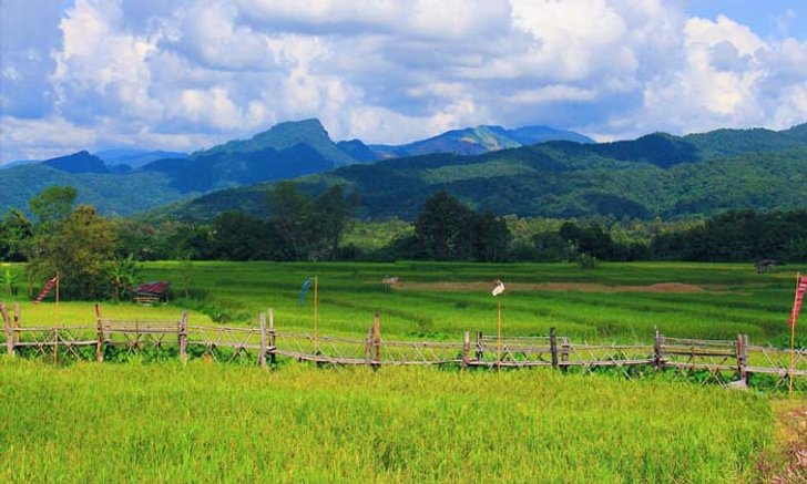 พาชมร้านกาแฟที่มีวิวทุ่งนาสวยที่สุดในยุคนี้ "ลำดวนผ้าทอ ร้านกาแฟไทลื้อ"
