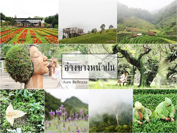 ทำไมต้องไป "อ่างขาง" หน้าฝน