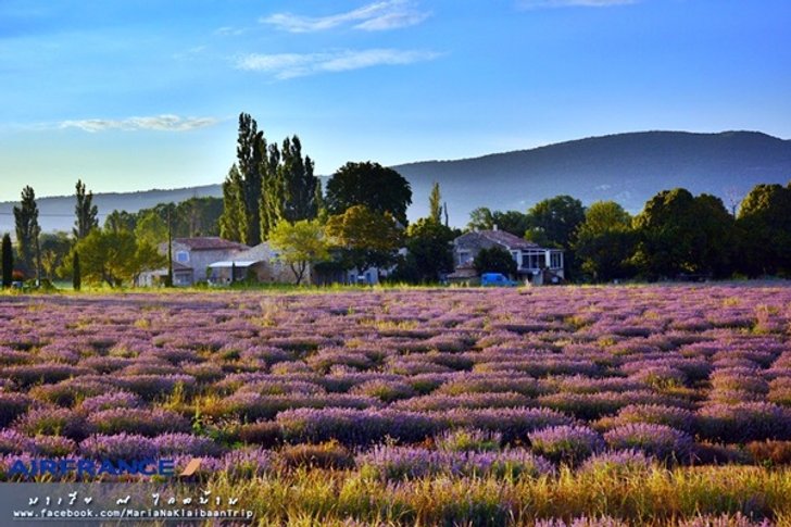 Provence & Paris in summer - โพรว๊องซ์ ปารีส เที่ยวเองได้ง่ายๆไม่ง้อทัวร์ ตอน 2