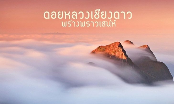 ดอยหลวงเชียงดาว..พร่างพราวเสน่ห์