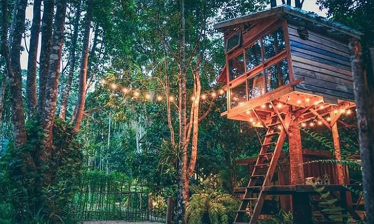 บ้านในหมง บ้านเล็กกลางป่าใหญ่ ที่คุณจะถูกโอบกอดไว้ด้วยธรรมชาติ