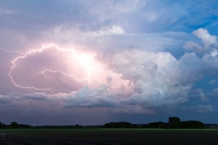nature-3184229_960_720-631x42