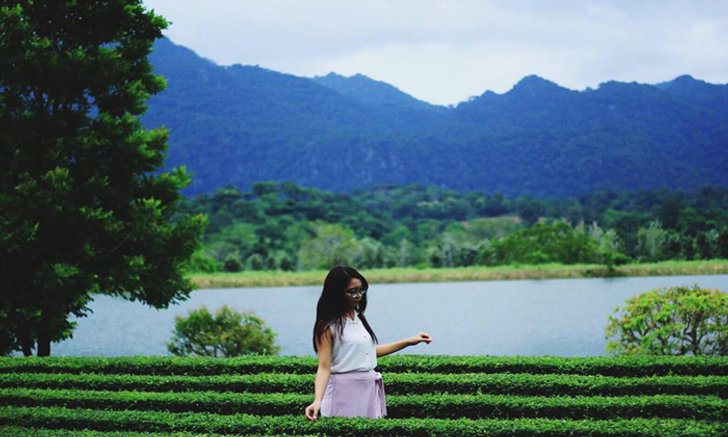 Pirom Cafe คาเฟ่กลางความเขียวขจีของธรรมชาติ ณ เขาใหญ่