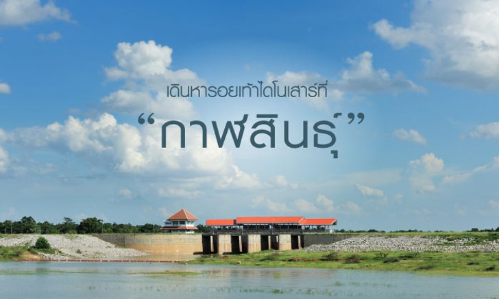ชวนใส่ผ้าไหมแพรวา เดินหารอยเท้าไดโนเสาร์กันที่ “กาฬสินธุ์”