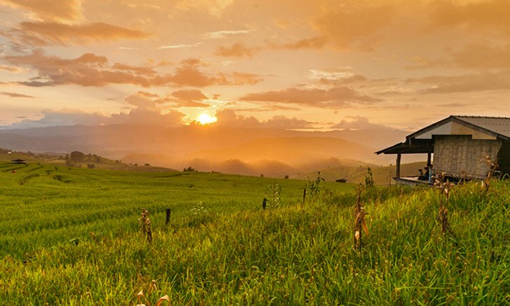 บ้านป่าบงเปียง ชมทุ่งนาสุดขอบฟ้า