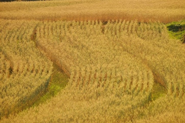 52926911_265744411013711_5369