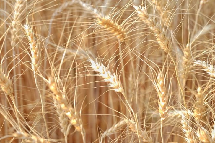 52961231_632419830527188_2219