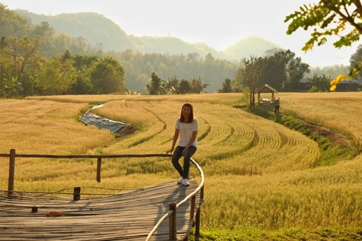 53435322_2290820174540476_724