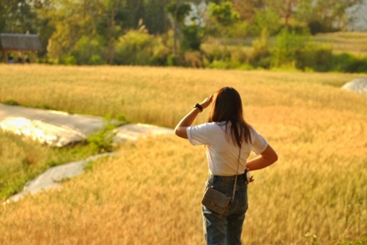 53179327_414006739368071_1937