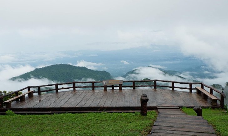 จุดชมวิวม่อนสน ดอยอ่างขาง ความสวยงามของหมอกหน้าฝน