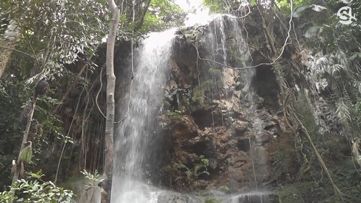 image12