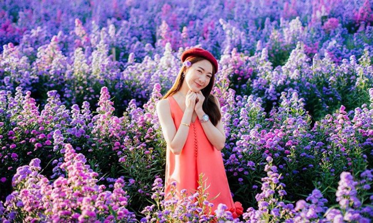 นึกว่าอยู่สวิตเซอร์แลนด์! I Love Flower Farm สวนดอกไม้เปิดใหม่น่าไปเช็กอิน