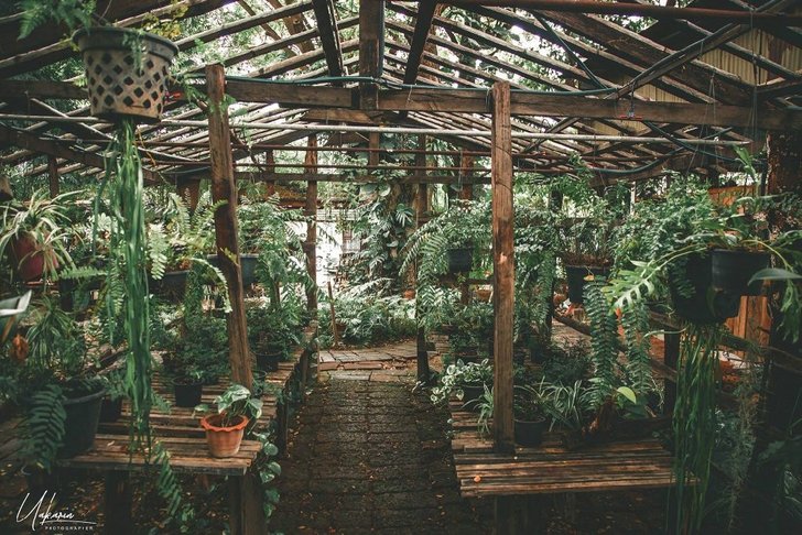 44484193_315856729204335_5819