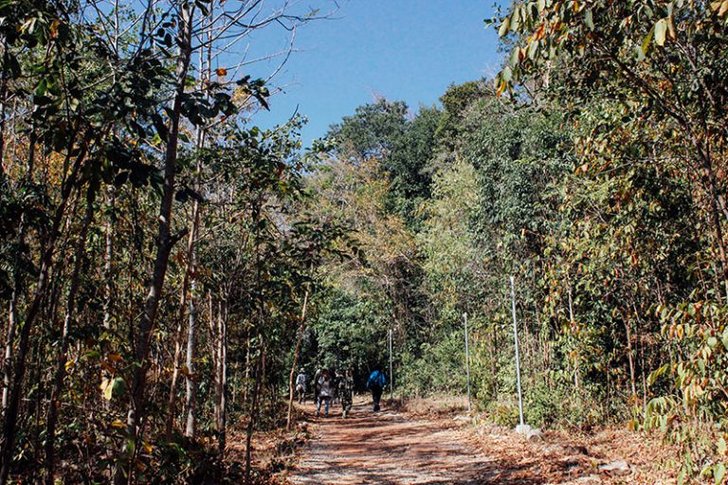 mg_0623-768x512